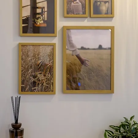 公寓 The Serene 拉纳卡